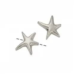 1905696072 Seestern 14 x 12mm, Silber matt (2 St./VE) | GH Edelsteine, Heilsteine & Schmuck