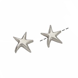 1905696082 Starfish 18 x 16mm, silver matt (2 pcs./ PU) | wholesaler gems & healing stones