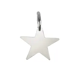 1905802231 Piastra per timbri "Star" con occhiello 9 mm, argento (3 pz./ UC) | Marco Schreier