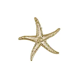 1909696011 Starfish 17mm, gold-plated silver (2 pcs./ PU) | gems, healing stones & jewelry