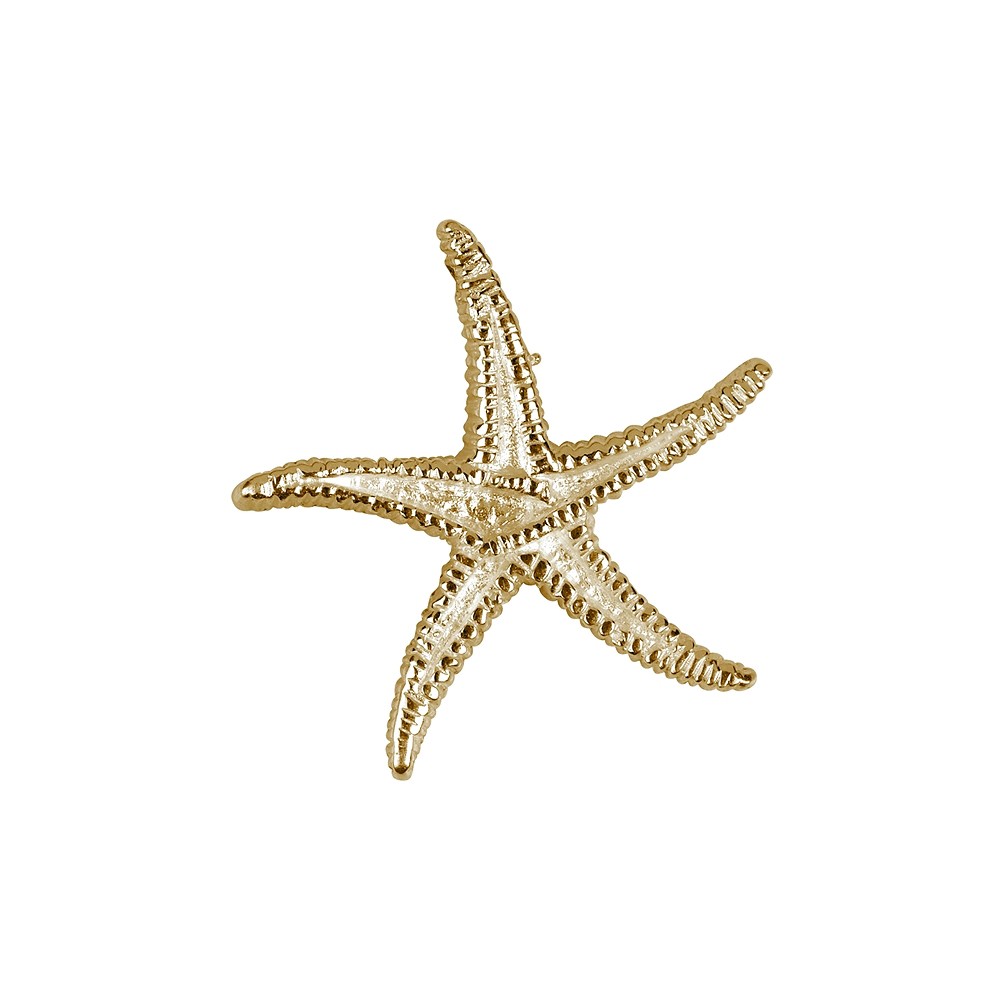 Stella marina 17 mm, argento placcato oro (2 pz./ UC) | Marco Schreier