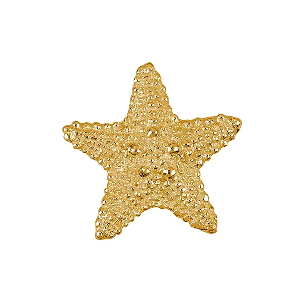 Estrella de mar 19mm, plateada dorada (2 uds./VE) | Marco Schreier
