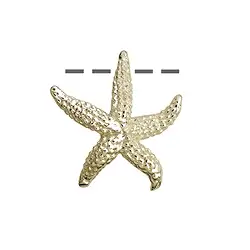 1909696071 Stella marina 24 x 26 mm, argento placcato oro (1 pz./ UC) | Marco Schreier