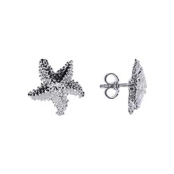 1918516021 Earstuds starfish 14mm, rhodiniert | wholesaler gems, healing stones & jewelry