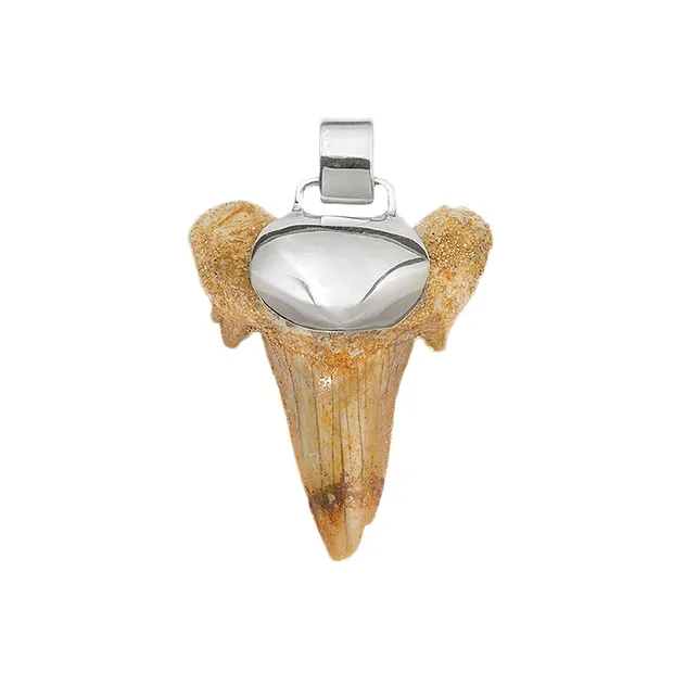 Pendentif dent de requin, 4,0cm | Marco Schreier