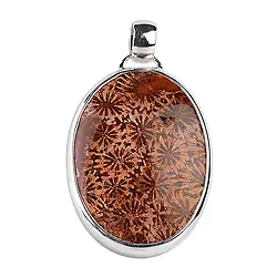 242005150085 Petrified Coral pendant, oval (40 x 30mm) 4.8cm | gems, healing stones & jewelry