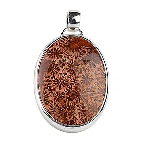 Pendentif Corail fossilisé, ovale (40 x 30mm) 4,8cm | Marco Schreier