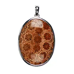 242005170050 Pendentif Corail fossilisé, Ovale (40 x 30mm), 5,2cm | Marco Schreier