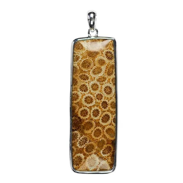 Colgante de coral petrificado, rectángulo (50 x 20mm), 6,0cm | Marco Schreier