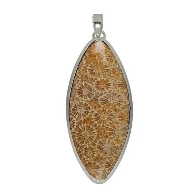 Petrified Coral pendant, Marquise (60 x 25mm), 7.0cm | Marco Schreier