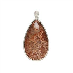 242005170069 Pendentif Corail fossilisé, goutte (50 x 30mm), 6,5cm | Marco Schreier