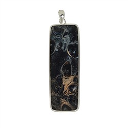 242005170072 Petrified Palm Wood pendant rectangle, 6.0 - 7.0 cm | Marco Schreier