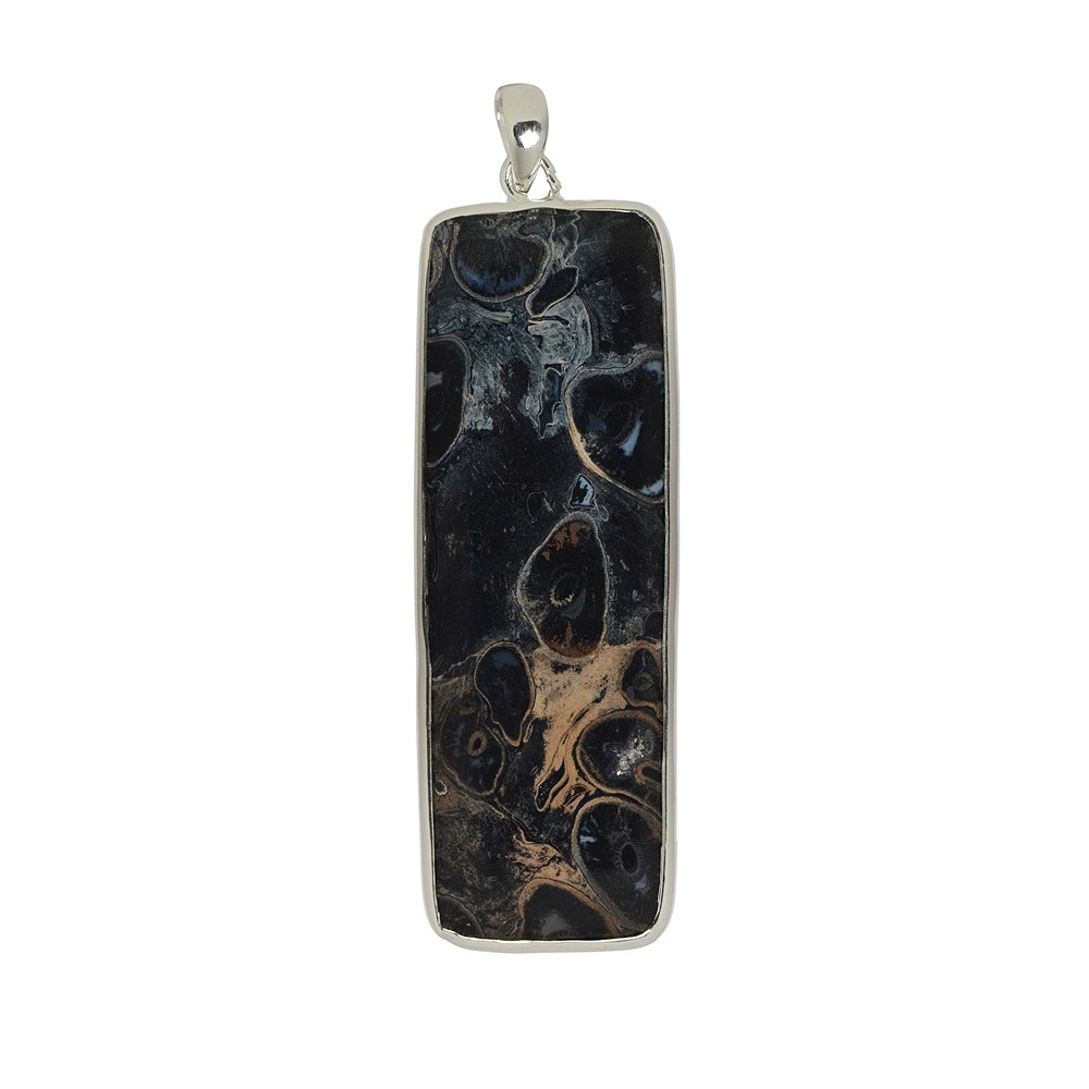 Petrified Palm Wood pendant rectangle, 6.0 - 7.0 cm | Marco Schreier