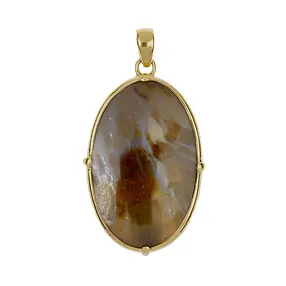 Petrified Wood pendant, oval (40 x 25mm), 5.3cm, gold-plated | Marco Schreier