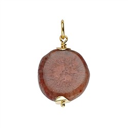 242009230051 Horn coral pendant (20mm), 3.5cm, gold-plated | wholesaler gems &amp; healing stones
