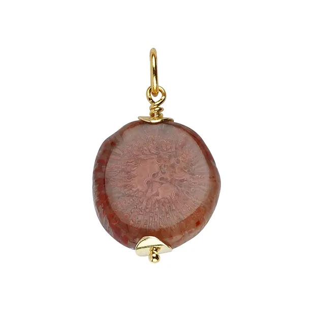 Horn coral pendant (20mm), 3.5cm, gold-plated | wholesaler gems & healing stones