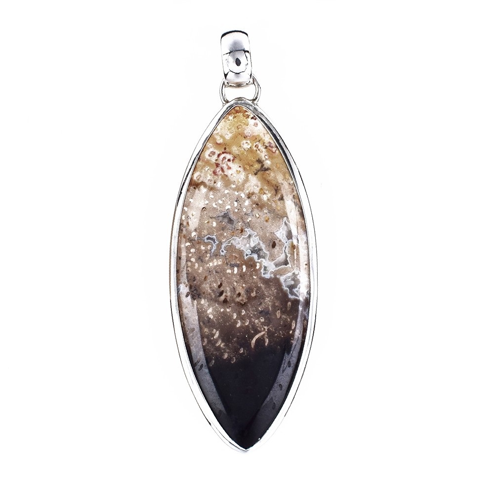 Petrified Palm Wood pendant, marquise (50 x 20mm), 7.3cm, rhodiniert | Marco Schreier