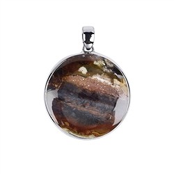 242018210114 Petrified Wood pendant (opalized), round (30mm), 4.0cm, rhodiniert | Marco Schreier