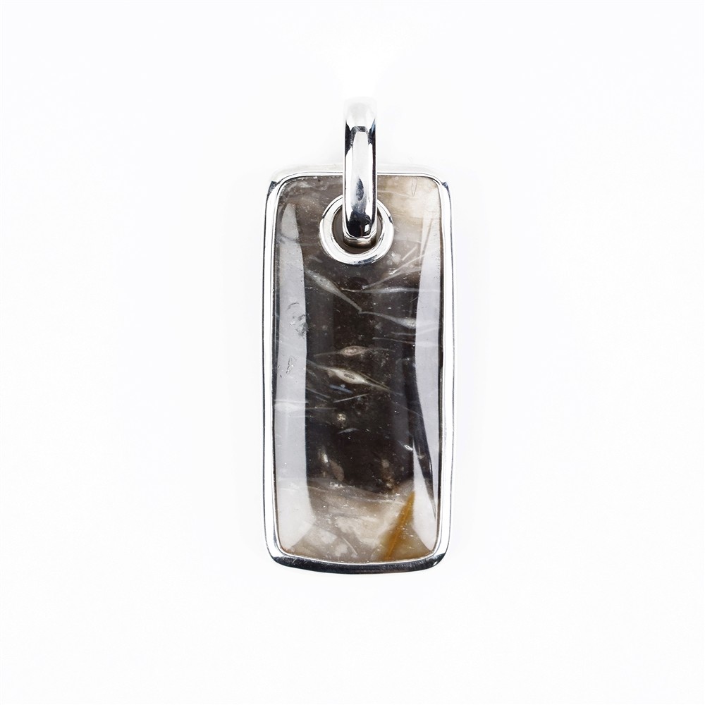 Petrified Wood Rectangle Pendant, 4.4 cm, rhodiniert | Marco Schreier