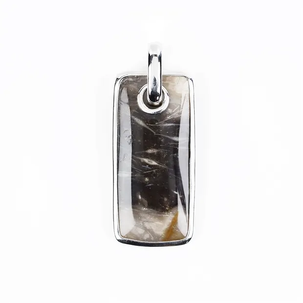 Petrified Wood Rectangle Pendant, 4.4 cm, rhodiniert | Marco Schreier