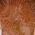 https://cdn.marcoschreier.com/content/productimages/242018210235_d1.jpg