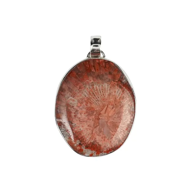 Colgante de coral cuerno, oval (28 x 23 mm), 3,8 cm, rodinado | Marco Schreier