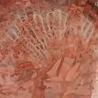 https://cdn.marcoschreier.com/content/productimages/242018220106_d1.jpg
