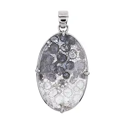 242023210376 Pendentif Corail fossilisé (gris), ovale (40 x 25mm), 5,5cm, platiné | Marco Schreier