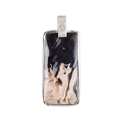 242023220281 Pendentif Palmier pétrifié, rectangle (40 x 25mm), 5,1cm, platiné | Marco Schreier