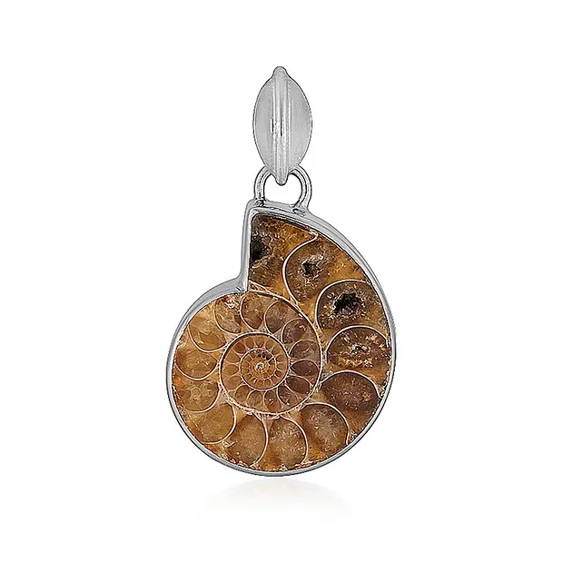 Ammonite pendant (26 x 22mm), 3.5cm, platinum plated | Marco Schreier