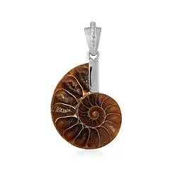 242023230311 Ciondolo in ammonite (26 x 21 mm), 3,5 cm, placcato in platino | Marco Schreier