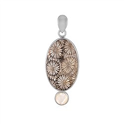 242023240017 Petrified Coral pendant, oval (30 x 19mm), Mother of Pearl, 3.3cm | Marco Schreier