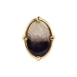 243009210279 Bague en bois de palmier pétrifié, taille 51, doré | Marco Schreier