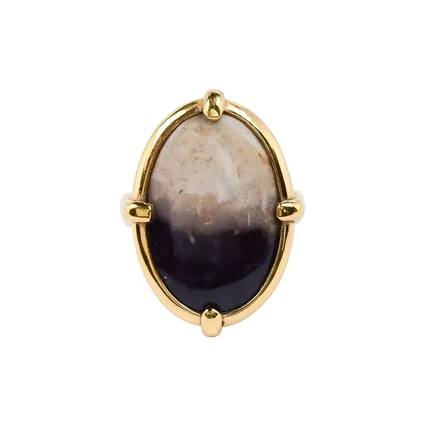 Anello in legno di palma pietrificato, misura 57, placcato oro | Marco Schreier