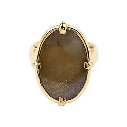243009220085 Petrified Wood oval ring (20 x 15mm), size 51, gold-plated | Marco Schreier