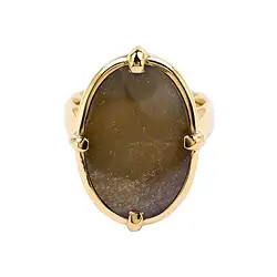 243009220086 Ring versteinertes Holz Oval, Größe 54, vergoldet  | Marco Schreier