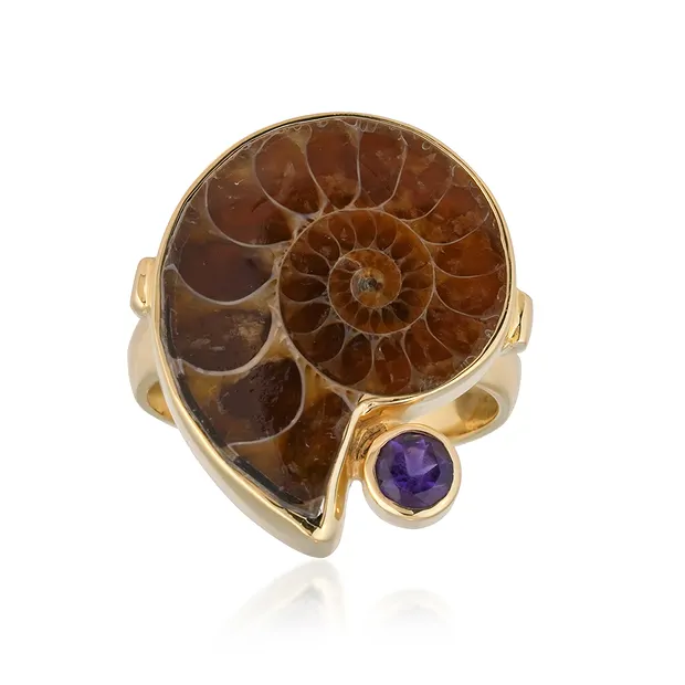 Ring Ammonit (22 x 18mm), Größe 54 (17), vergoldet | Marco Schreier