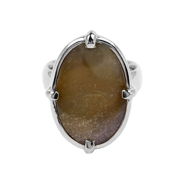 Petrified Wood Oval ring, size 60, rhodiniert | wholesaler gems & healing stones