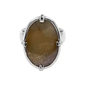 Petrified Wood Oval ring, size 63, rhodiniert | wholesaler gems & healing stones