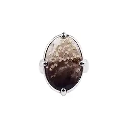 243018210255 Anillo oval Madera de palma petrificada, talla 51, rodinado | Marco Schreier
