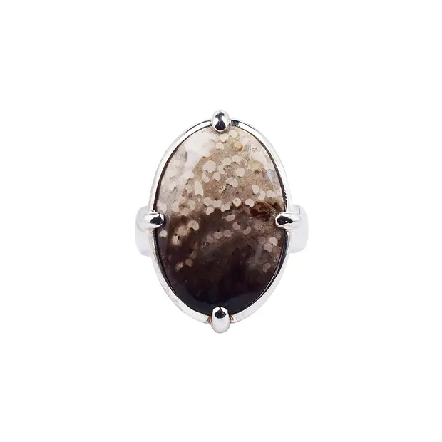 Anillo oval Madera de palma petrificada, talla 51, rodinado | Marco Schreier