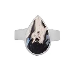 243018210292 Ring versteinertes Palmholz, Tropfen (19 x 22mm), Größe 54 (17), rhodiniert | Marco Schreier
