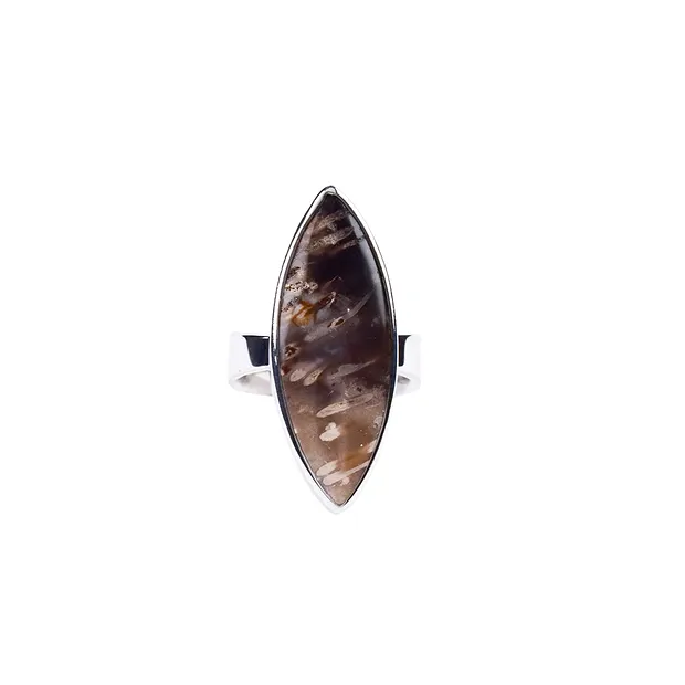 Anillo marquesa de madera de palma petrificada, talla 57, rodinado | Marco Schreier