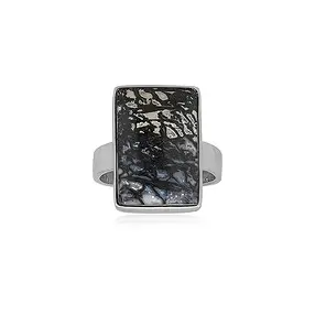 Ring Zebra-Palmholz Rechteck (18 x 12mm), Größe 60 (19), rhodiniert | Marco Schreier