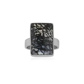 Bague zèbre-palmier rectangle (18 x 12mm), taille 63 (20), rhodié  | Marco Schreier