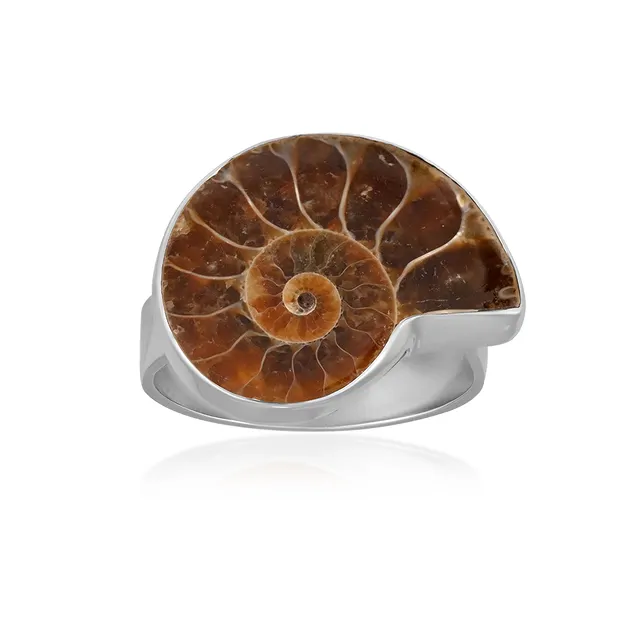 Anello di ammonite (21 x 18 mm), misura 57 (18), rodiato | Marco Schreier