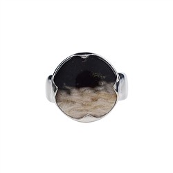 243118210064 Bague Palmier p&#xE9;trifi&#xE9;, quatre pointes, taille 63, rhodi&#xE9;e | Marco Schreier