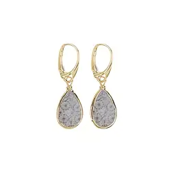 244009210318 Boucles d'oreilles avec crochets en Corail fossilisé (gris) goutte (18 x 12mm), 4,0cm, doré à l'or fin | Marco Schreier