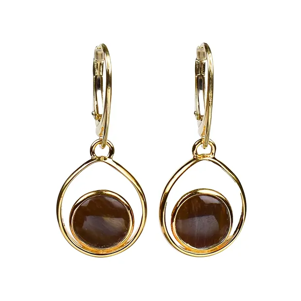 Petrified wood circle drop earrings, 3.8 cm, gold-plated | Marco Schreier