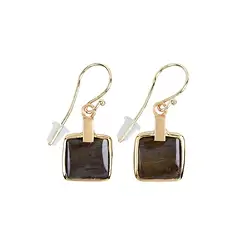 244009220009 Petrified wood square earrings, 3.6 cm, gold-plated | Marco Schreier